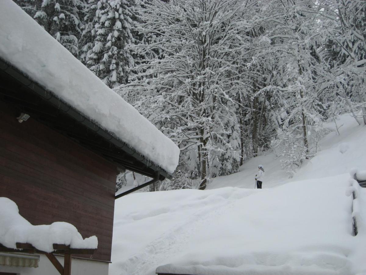 Ski-In Ski-Out Chalet Kriekels - By Alpen Apartments Zell am See Exterior foto